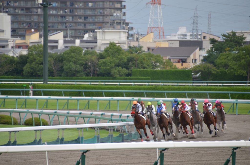 最終コーナーを回る馬群