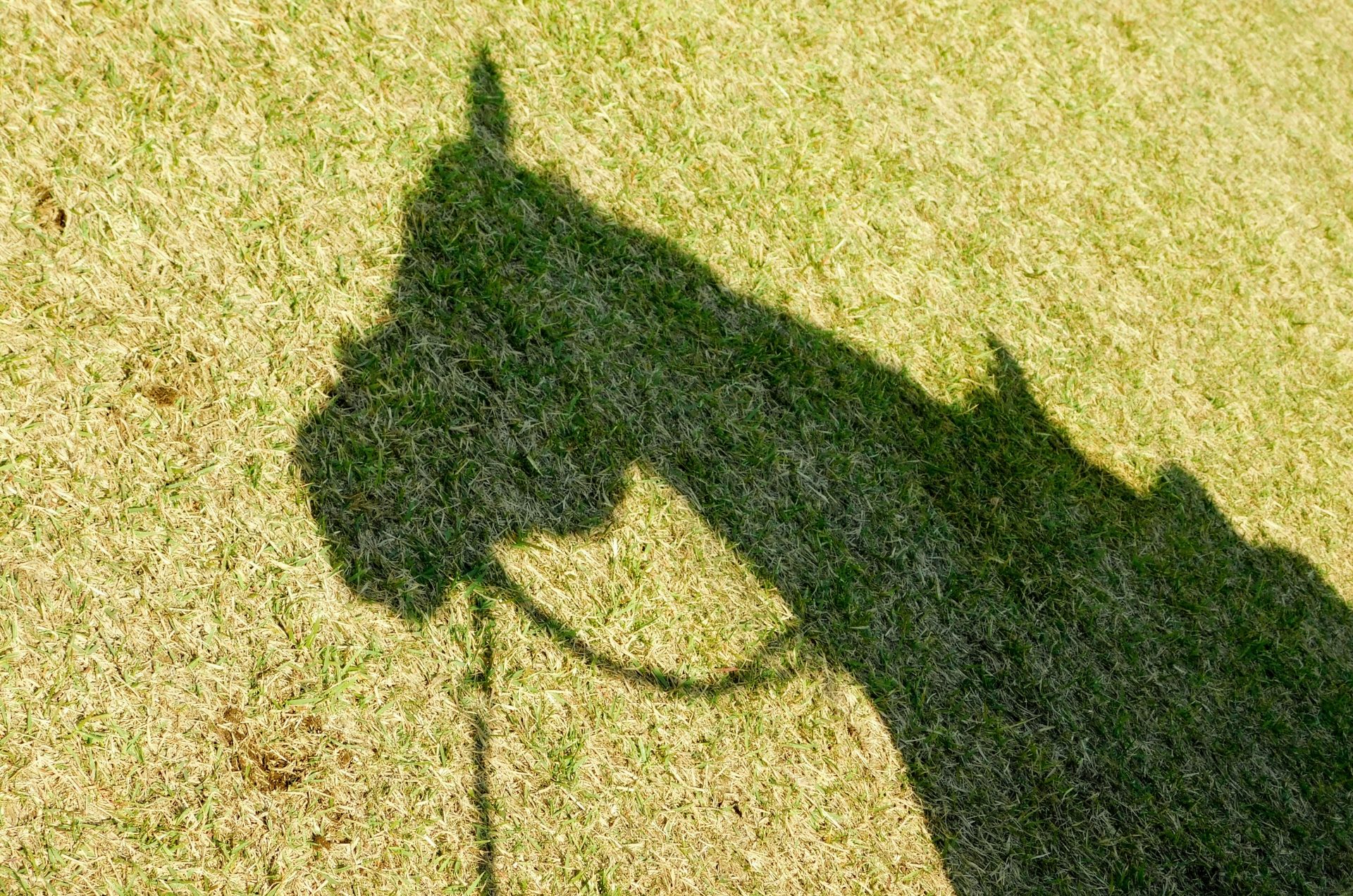 馬のシルエット